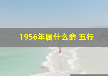 1956年属什么命 五行